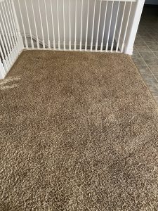 New Carpet 2